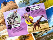 Load image into Gallery viewer, World of Safari