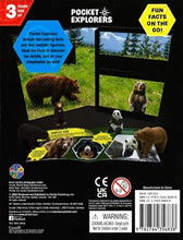 Load image into Gallery viewer, Bears