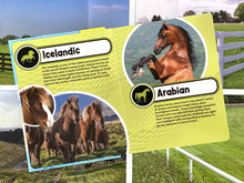 Load image into Gallery viewer, World of Horses