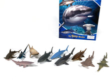 Load image into Gallery viewer, World of Sharks