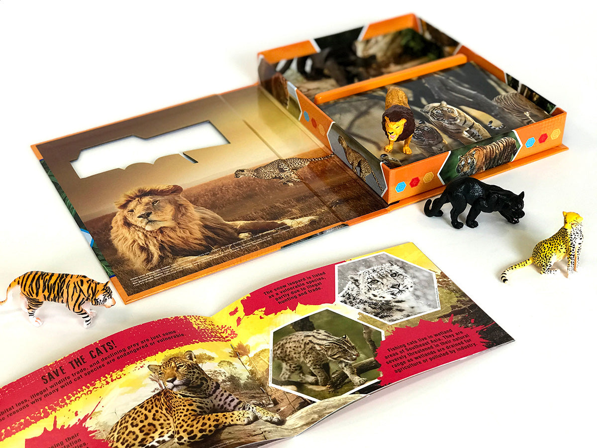 Wild Cats – Phidal